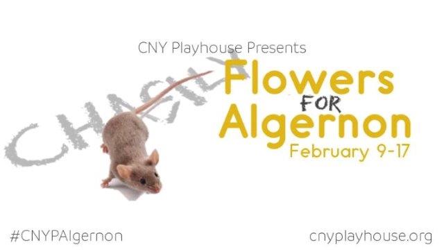 Flowers for Algernon - February 2018 1